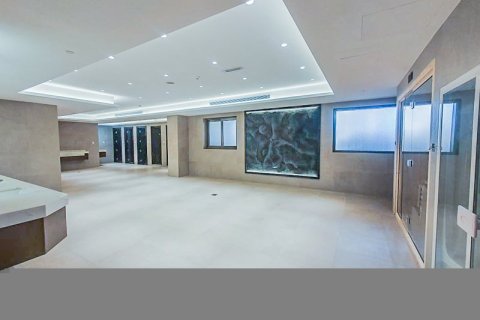 Apartment in Downtown Dubai (Downtown Burj Dubai), Dubai 3 bedrooms № 3109 - photo 23