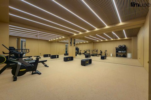 Apartment in Dubai 3 bedrooms, 335.7 sq.m. № 110654 - photo 7