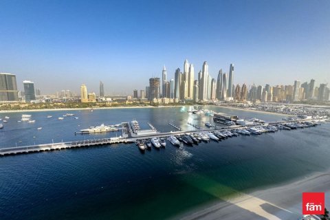 شقة في Dubai Harbour, دبي 2 غرف نوم, 111.2 م² رقم 23222 - صورة 11