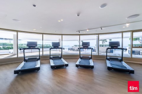 شقة في Dubai Harbour, دبي 3 غرف نوم, 181.8 م² رقم 77948 - صورة 11