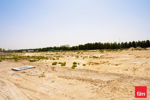 قطعة أرض في دبي 930.2 م² رقم 8041 - صورة 12