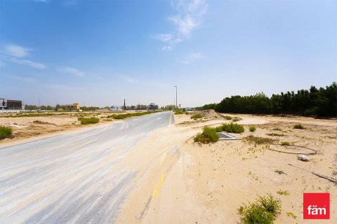 قطعة أرض في دبي 930.2 م² رقم 8041 - صورة 6