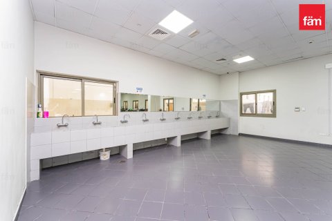 Купить здание в Дубае: 5388.1м², № 12216 - фото 14