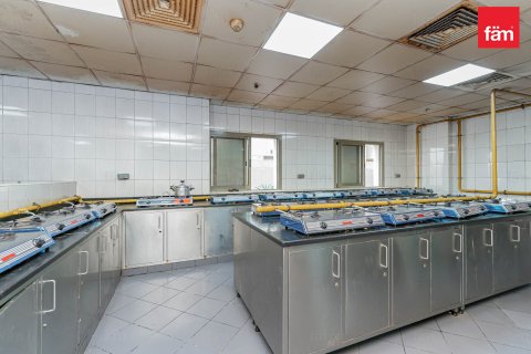 Купить здание в Дубае: 5388.1м², № 12216 - фото 4