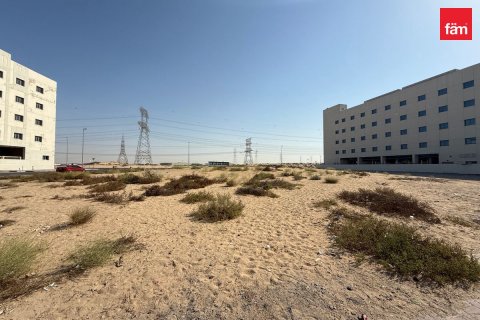 قطعة أرض في دبي 1550.6 م² رقم 12339 - صورة 14