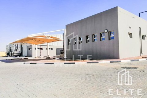 Entrepôt à Dubai, 8288 m², № 38870 - photo 11