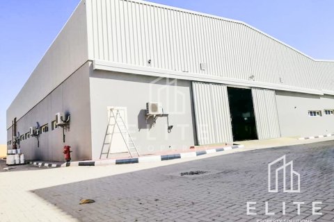 Entrepôt à Dubai, 8288 m², № 38870 - photo 15