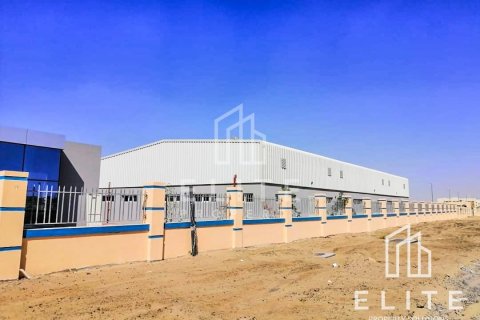 Warehouse in Dubai 8288 sq.m. № 38870 - photo 3