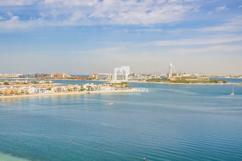 شقة في Tiara Residences, نخلة جميرا, دبي 3 غرف نوم, 222 م² رقم 15295 - صورة 16