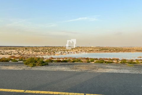 Land in Jebel Ali, Dubai 1008 sq.m. № 8754 - photo 4