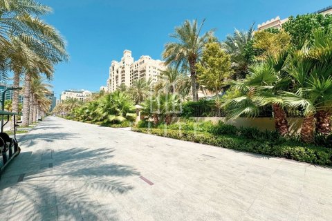 شقة في The Fairmont Palm Residences, نخلة جميرا, دبي استوديو, 126 م² رقم 42265 - صورة 28