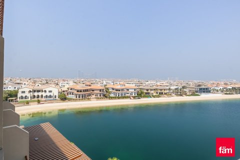 شقة في نخلة جميرا, دبي 46.8 م² رقم 11394 - صورة 5