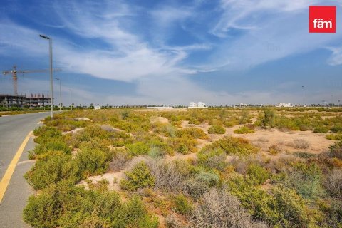 Land in Jebel Ali, Dubai 1001 sq.m. № 60315 - photo 4