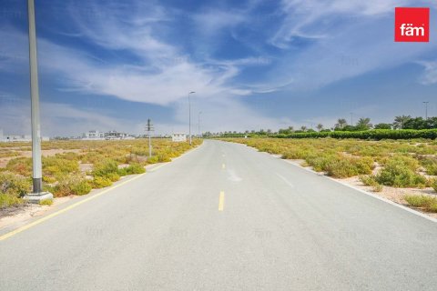 Land in Jebel Ali, Dubai 1001 sq.m. № 60315 - photo 9