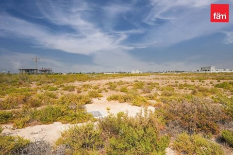 Land in Jebel Ali, Dubai 1001 sq.m. № 60315 - photo 3