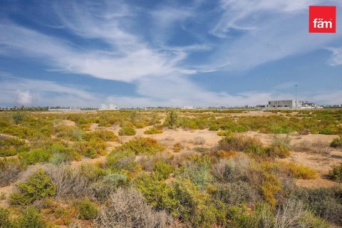 Land in Jebel Ali, Dubai 1001 sq.m. № 60315 - photo 5