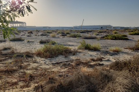 قطعة أرض في دبي 18580.5 م² رقم 8149 - صورة 1