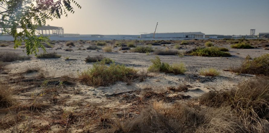 Terrain à Dubai, 18580.5 m², № 8149