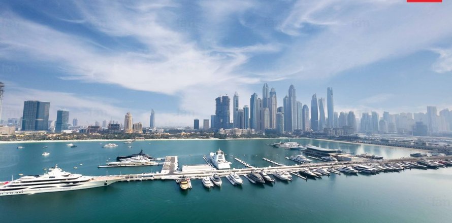 شقة في Dubai Harbour, دبي 3 غرف نوم, 180 م² رقم 23067