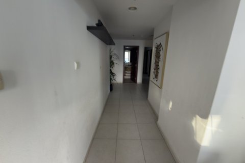 Apartment in Dubai Marina, Dubai 3 bedrooms, 187 sq.m. № 120412 - photo 14