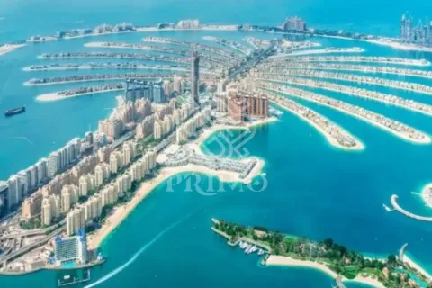 شقة في نخلة جميرا, دبي 3 غرف نوم, 254 م² رقم 112069 - صورة 3