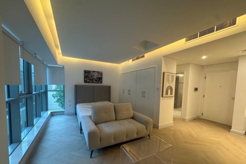 Apartment in Downtown Dubai (Downtown Burj Dubai), Dubai studio, 43.52 sq.m. № 142090