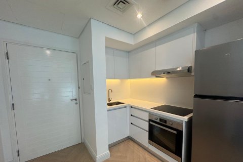Apartment in Downtown Dubai (Downtown Burj Dubai), Dubai studio, 43.52 sq.m. № 142090 - photo 10