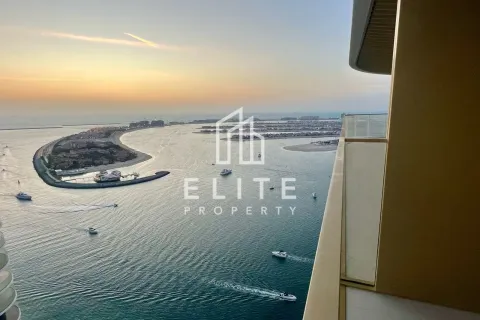 Appartement à EMAAR Beachfront, Dubai Harbour, Dubai, studio, 84 m², № 85472 - photo 13