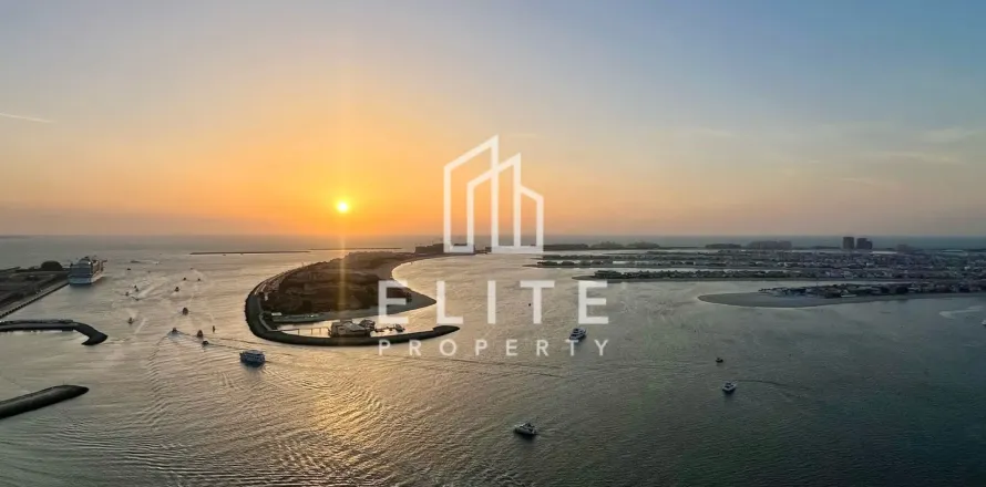 Appartement à EMAAR Beachfront, Dubai Harbour, Dubai, studio, 84 m², № 85472