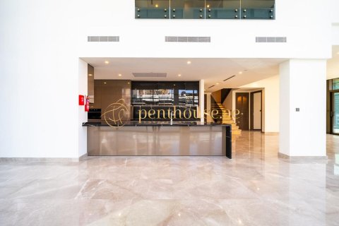 Duplex à Business Bay, Dubai, 4 chambres, 438 m², № 8695 - photo 4