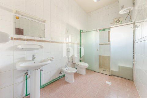 Villa in Al Rashidiya, Dubai 5 bedrooms, 10000 sq.m. № 134039 - photo 7