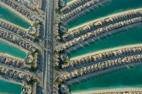 Palm Jumeirah - photo 4