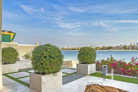 Villa à Palm Jumeirah, Dubai, 4 chambres, 465 m², № 13465 - photo 17