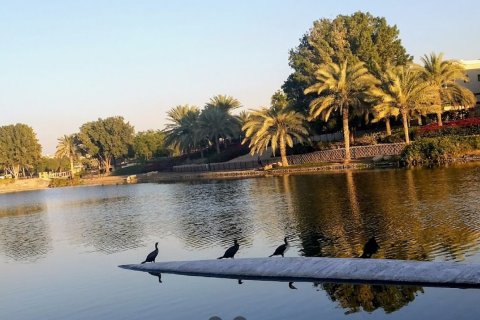 Арабиан Ранчес (Arabian Ranches) - фото 5