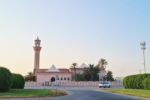 Meydan - photo 6