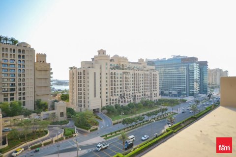 شقة في نخلة جميرا, دبي 4 غرف نوم, 952 م² رقم 50097 - صورة 12