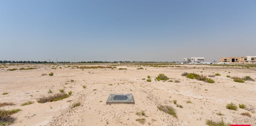 قطعة أرض في جبل علي, دبي 1030.7 م² رقم 10212