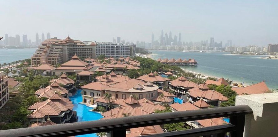 Apartment in Palm Jumeirah, Dubai studio, 49 sq.m. № 10556