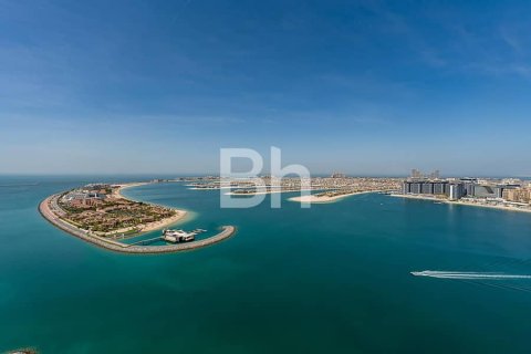 Appartement à Dubai Harbour, Dubai, 3 chambres, 179 m², № 25089 - photo 7