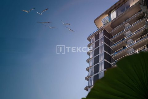 Apartment in Al Wasl, Dubai 2 bedrooms, 77 sq.m. № 103190 - photo 5