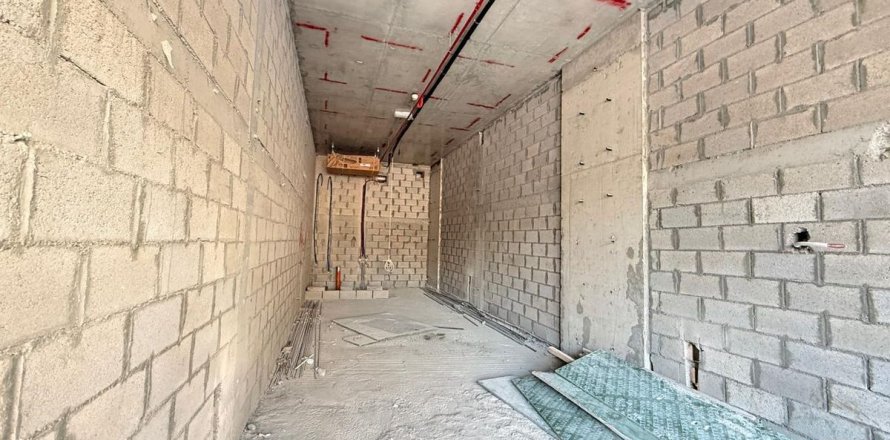 Shop in Dubai 53 sq.m. № 115120