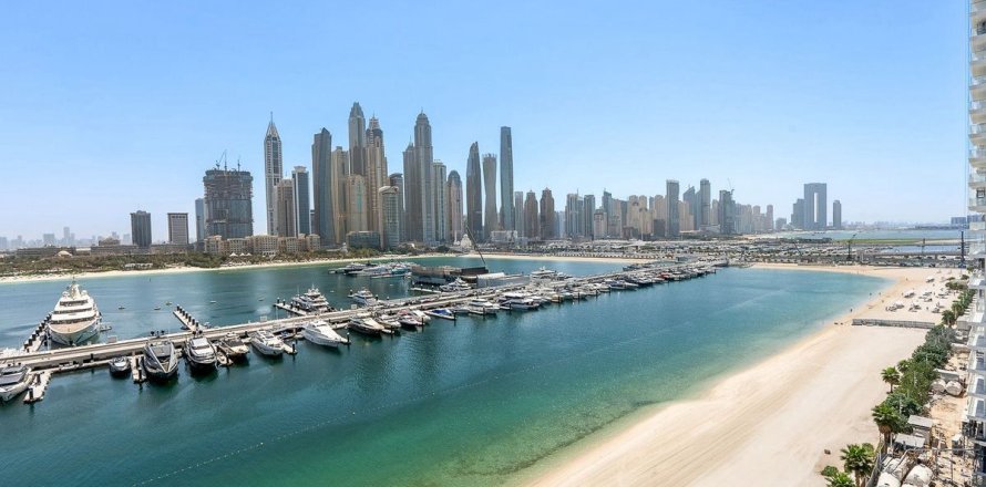 شقة في Dubai Harbour, دبي 2 غرف نوم, 111.6 م² رقم 97833