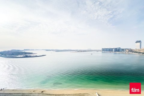 Appartement à Dubai Harbour, Dubai, 3 chambres, 177.5 m², № 6153 - photo 22
