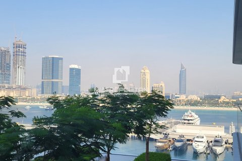 Appartement à EMAAR Beachfront, Dubai Harbour, Dubai, 1 chambre, 81 m², № 16128 - photo 3