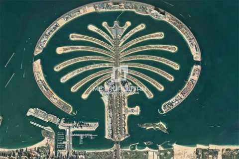 Land in Palm Jebel Ali, Dubai 2378 sq.m. № 74081 - photo 19