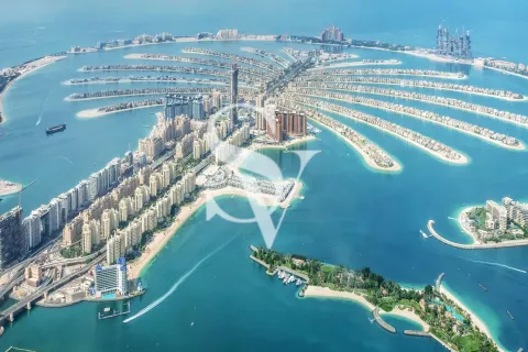 شقة في نخلة جميرا, دبي 3 غرف نوم, 253 م² رقم 67880 - صورة 9