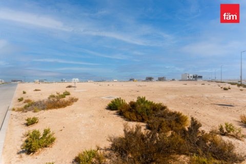 Land in Jebel Ali, Dubai 889 sq.m. № 71850 - photo 11