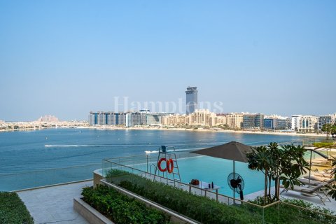 شقة في Dubai Harbour, دبي 2 غرف نوم, 138.98288800 م² رقم 12735 - صورة 14