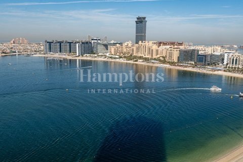 شقة في Dubai Harbour, دبي 1غرف نوم, 72.45040455 م² رقم 12733 - صورة 19