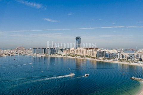 شقة في Dubai Harbour, دبي 1غرف نوم, 72.45040455 م² رقم 12733 - صورة 22